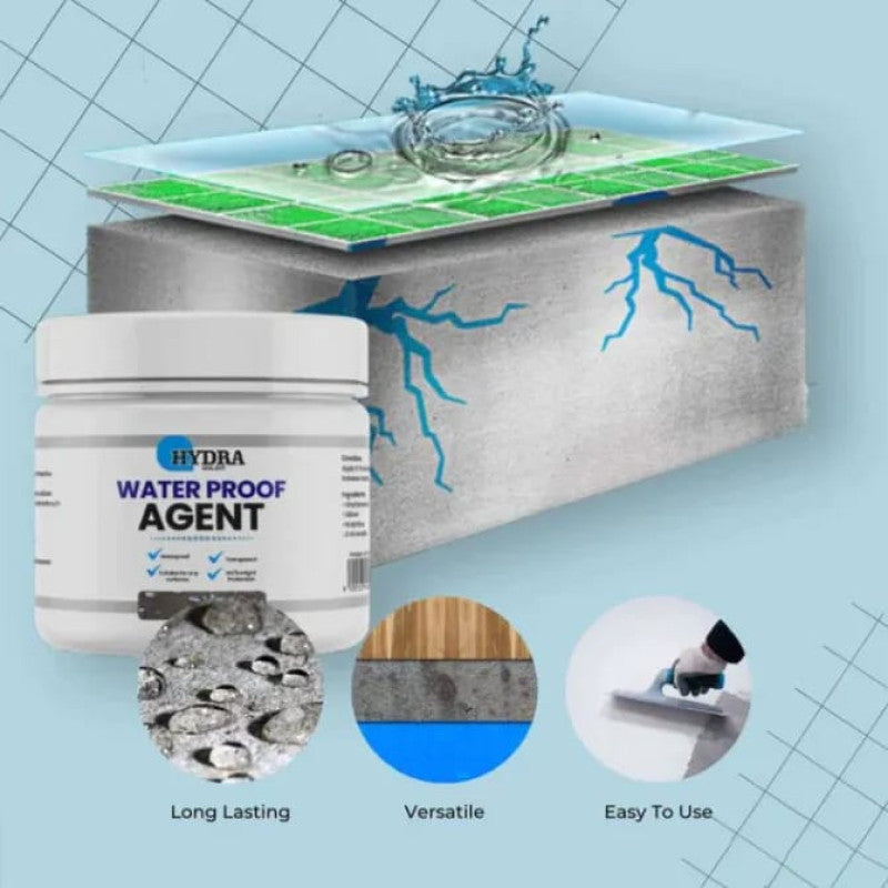 Hydra Waterproof Sealant – Anti-Leakage Waterproof Agent (With Brush)