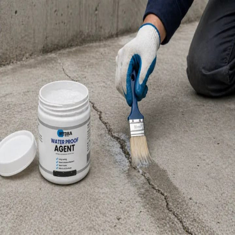 Hydra Waterproof Sealant – Anti-Leakage Waterproof Agent (With Brush)