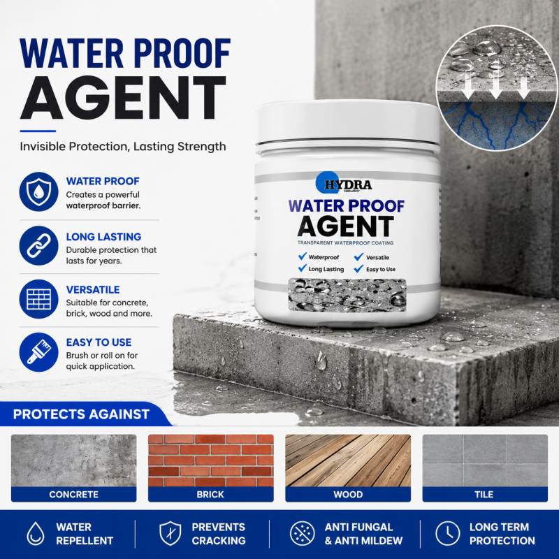 Hydra Waterproof Sealant – Anti-Leakage Waterproof Agent (With Brush)